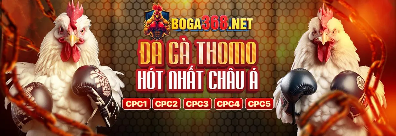 Đá Gà Trực Tuyến 23 win - Sân Chơi Uy Tín, Hấp Dẫn 2026